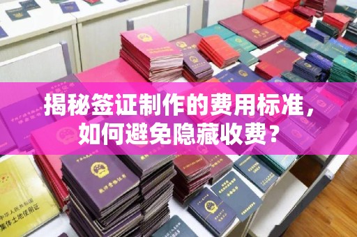 巴州揭秘签证制作的费用标准，如何避免隐藏收费？