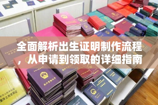 沙田全面解析出生证明制作流程，从申请到领取的详细指南
