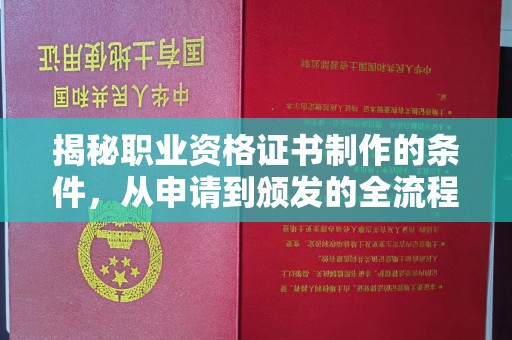 铁东揭秘职业资格证书制作的条件，从申请到颁发的全流程解析